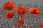 201107
