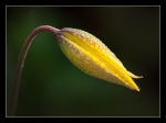201502